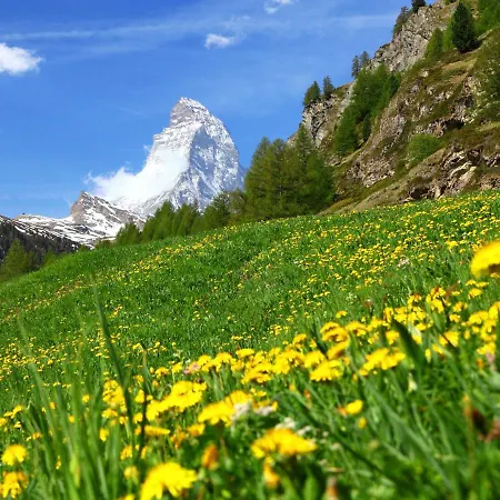 Haus Findelbach - Apt- Happy Lily By Interhome Lejlighed Zermatt